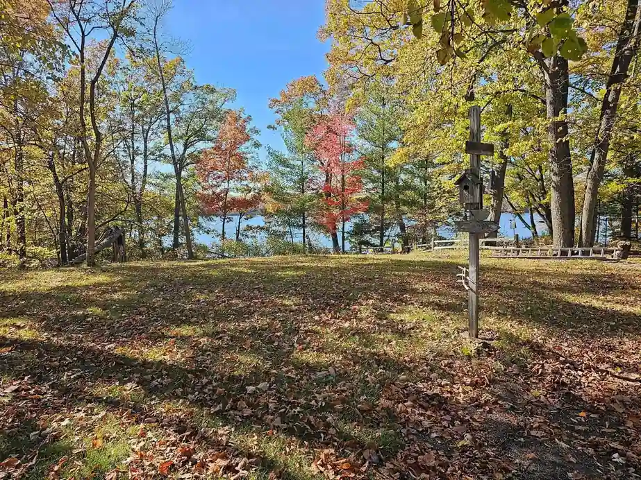 An autumn yard sloping down to the water on the Island Cabin, birdhouse post in the leaves